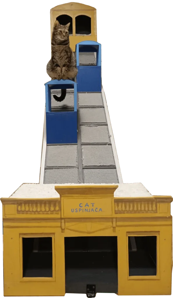 Cat Funicular