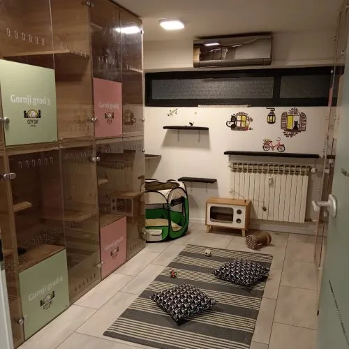 Hotel for cats