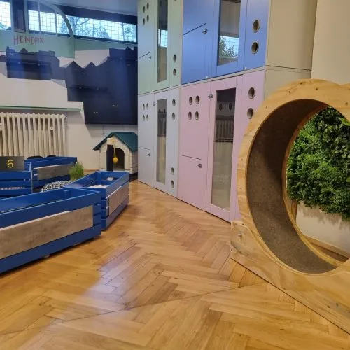 Play room